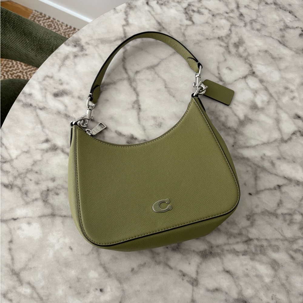 Coach Hobo Grain Leather Sage Green Bag